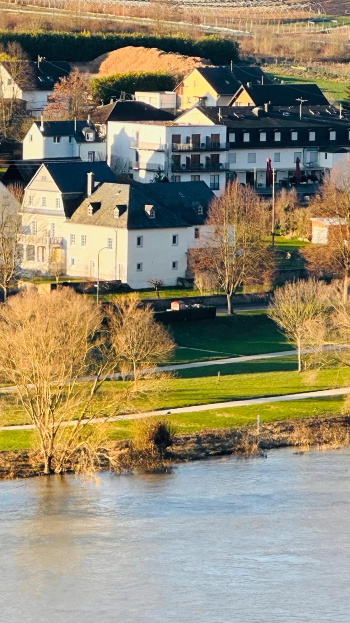 Gut Foersterlay - Exklusive Boutique Apartments Im Historischen Winzerhaus Direkt An Der Mosel Losnich Luaran gambar