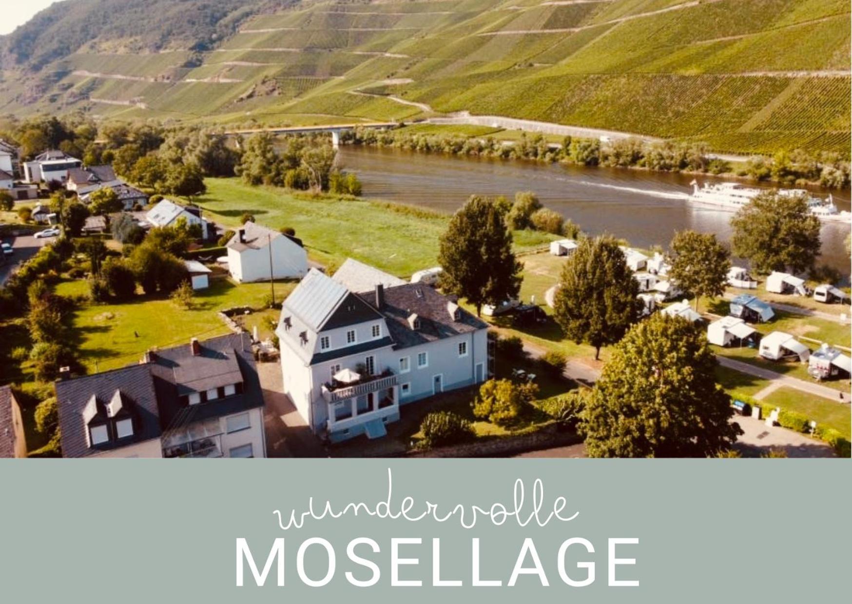 Gut Foersterlay - Exklusive Boutique Apartments Im Historischen Winzerhaus Direkt An Der Mosel Losnich Luaran gambar